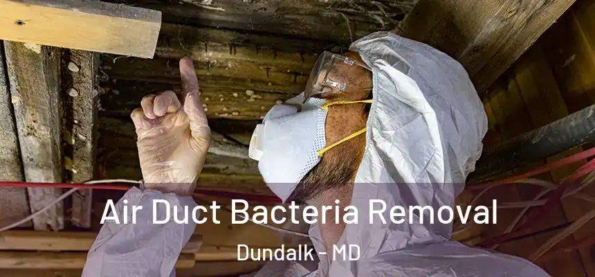  Air Duct Bacteria Removal Dundalk - MD