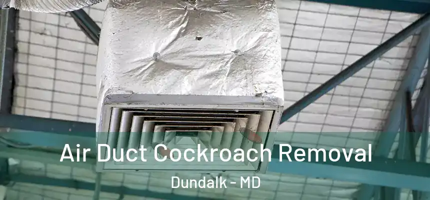  Air Duct Cockroach Removal Dundalk - MD