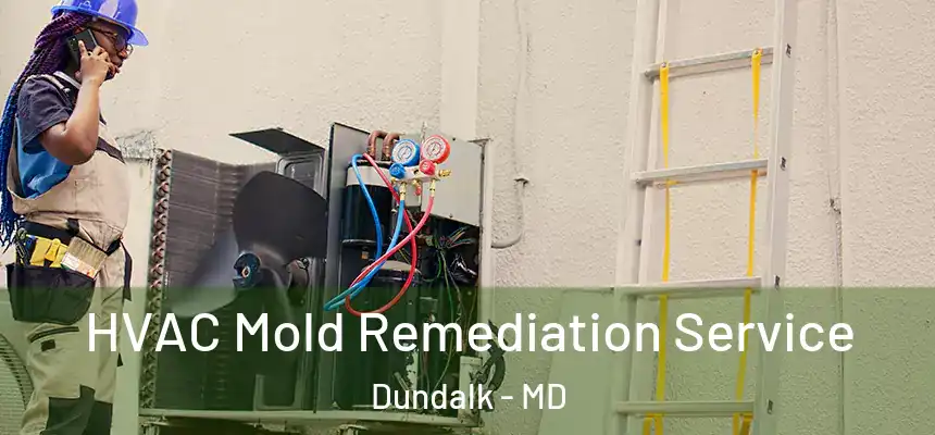  HVAC Mold Remediation Service Dundalk - MD