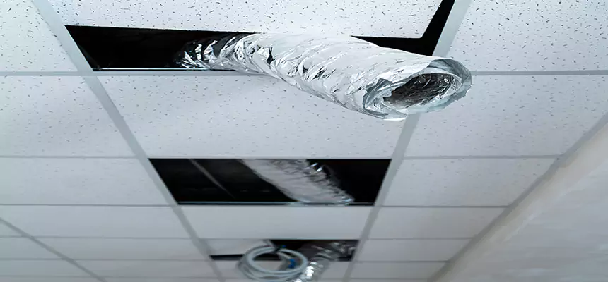 Affordable HVAC Sanitizing After Pest Removal in Dundalk