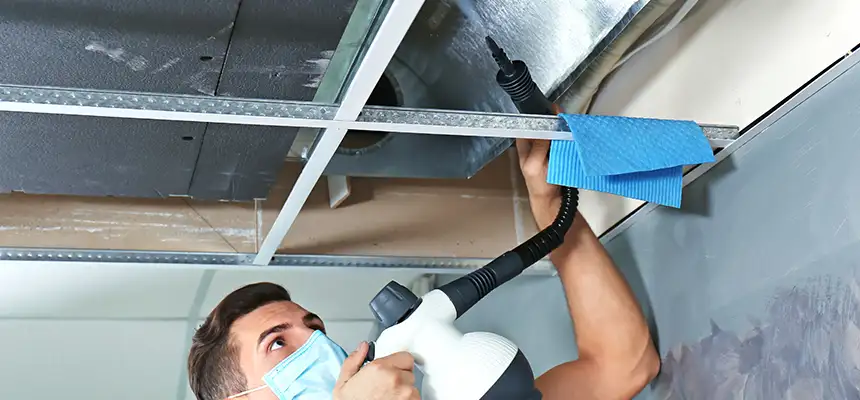 Our Air Duct Rodent Removal Services in Dundalk, MD