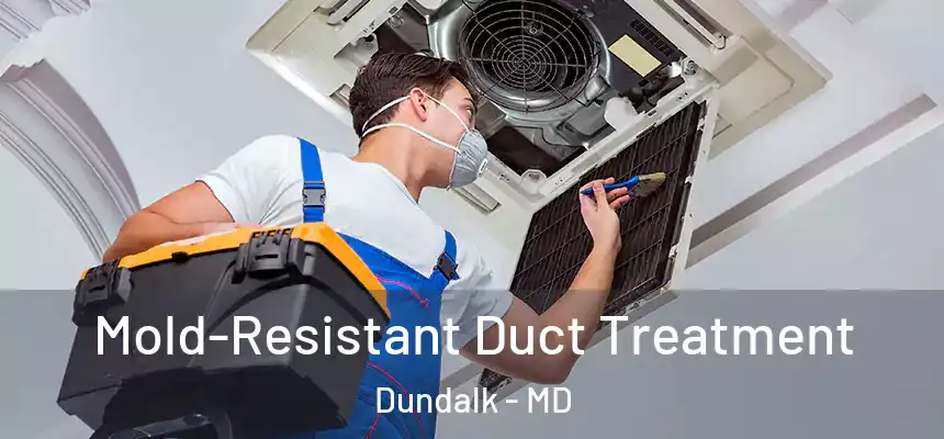  Mold-Resistant Duct Treatment Dundalk - MD