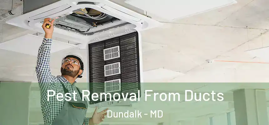  Pest Removal From Ducts Dundalk - MD