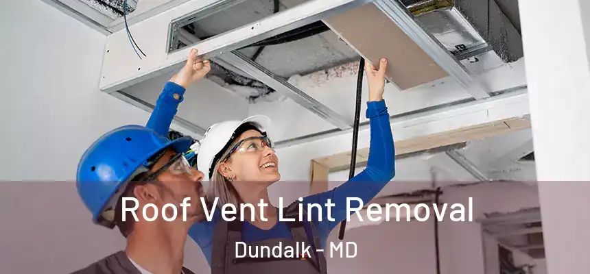  Roof Vent Lint Removal Dundalk - MD