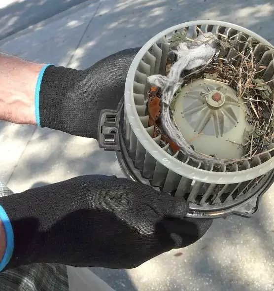 About Air Duct Mice Removal in Dundalk, MD