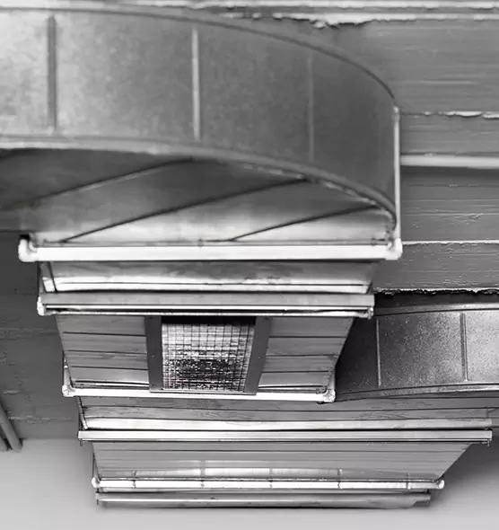 Professional Air Duct Pet Hair Removal in Dundalk, MD