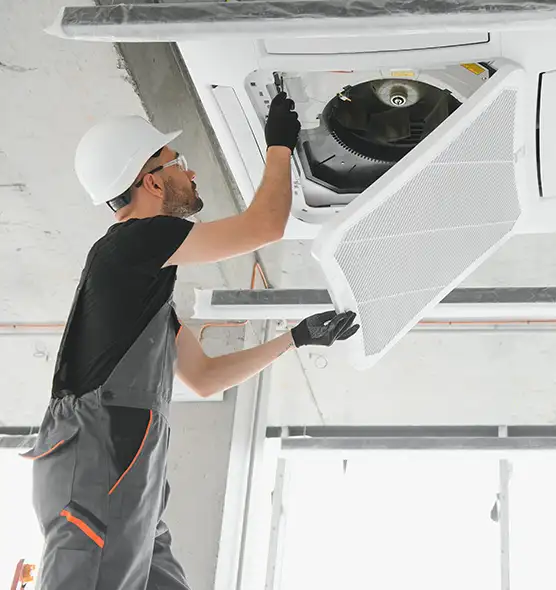 About Air Duct Rodent Removal in Dundalk, MD