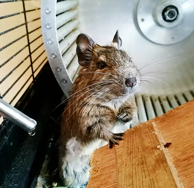 Why Homeowners & Businesses Trust Us Dundalk, MD