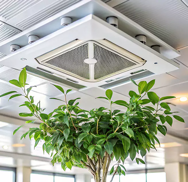 Why Homeowners & Businesses Trust Us in Dundalk, MD