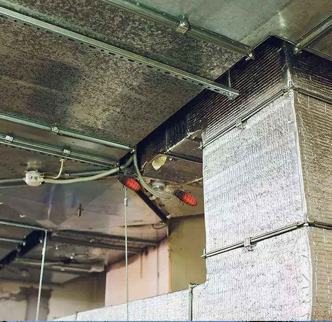 Why Homeowners & Businesses Trust Us Dundalk, MD?